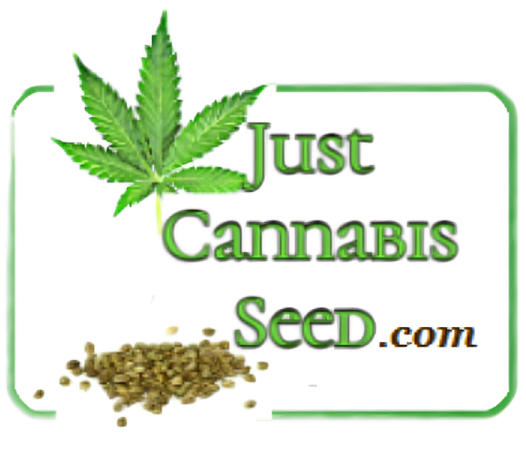 Bulk Seeds Cannabis Seeds
