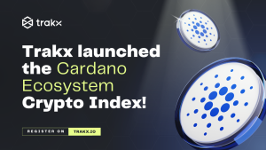 Crypto Investors Cardano Index
