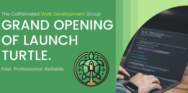 Custom Websites Rapid Development