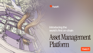 DeFi Platform Asset Management