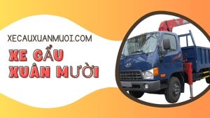 Heavy Crane Crane Rental