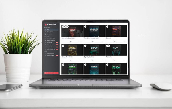 Online Business PLR Master