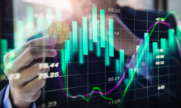 Portfolio Partners User Trust