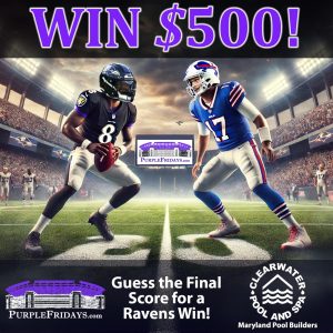 Score Prediction Ravens Fan