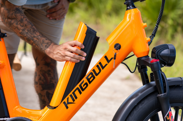 Electric Bike Cargo eBike