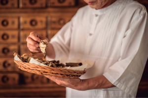 Herbal Medicine Forest Healing