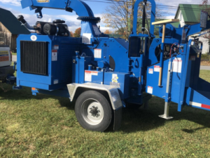 Licensed Arborist Tree Service