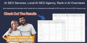 Organic Traffic Backlink Services