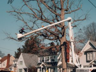 Seasonal Maintenance Leaf Removal