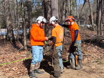 Stump Grinding Concord NH