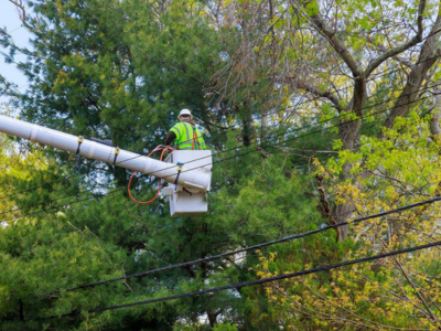 Stump Grinding Tree Removal
