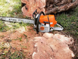 Tree Care Cedar Park
