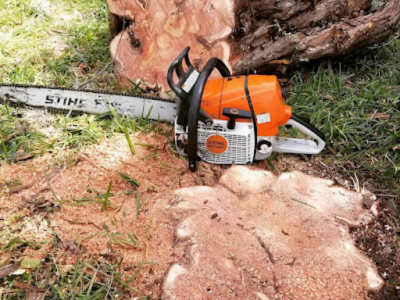 Tree Care Cedar Park