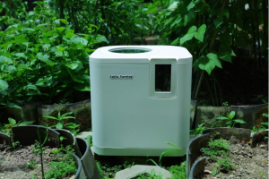 Zero Waste Urban Farming