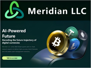Digital Investment Meridian LLC