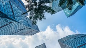 Dubai Property Real Estate