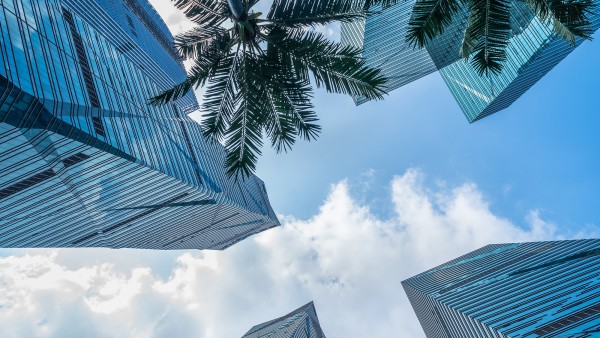 Dubai Property Real Estate