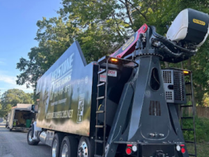 Frost Damage Tree Services