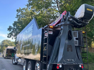 Frost Damage Tree Services