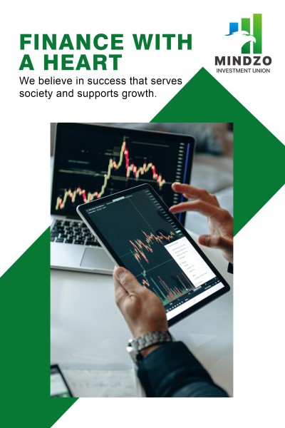 Investment Systems Scenario Analysis