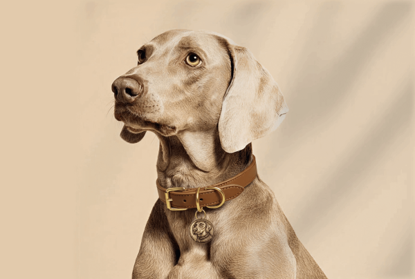 Memorial Gifts Pet Memorial