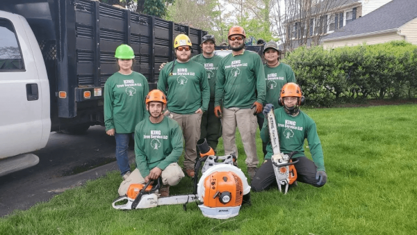 Northern Virginia Tree Services