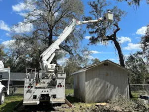 Storm Cleanup Tree Service