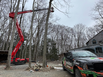 Tree Inspection Storm Damage