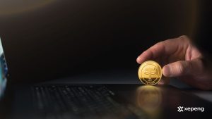 Fintech Platform Stablecoin Payments