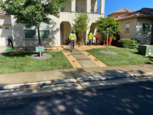 Landscape Contractor Tree Service