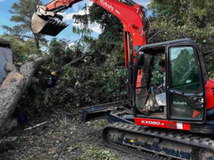 Local Arborist Tree Services
