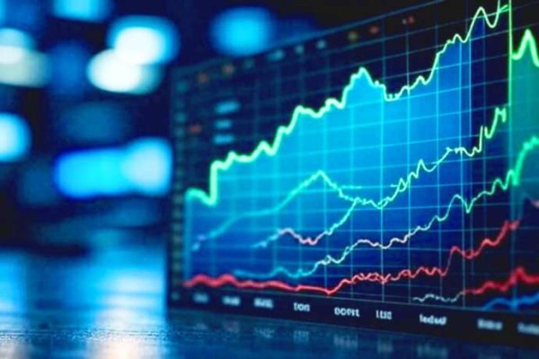 Ventures Group Startup Platform