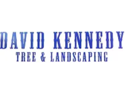 Emergency Removals Tree Pruning