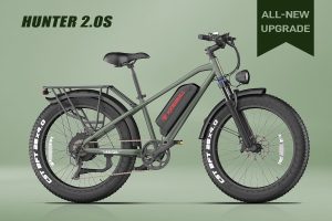 Electric Bike Turn Signals
